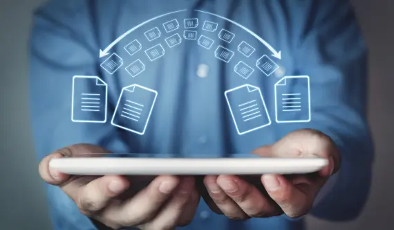 WebServe offers free website migration with no additional charges